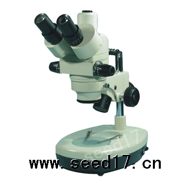 �B�m׃���wҕ�@΢�R PXS-E