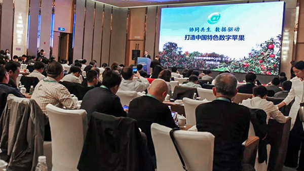 ��С�����γ�ϯ�f���M���h