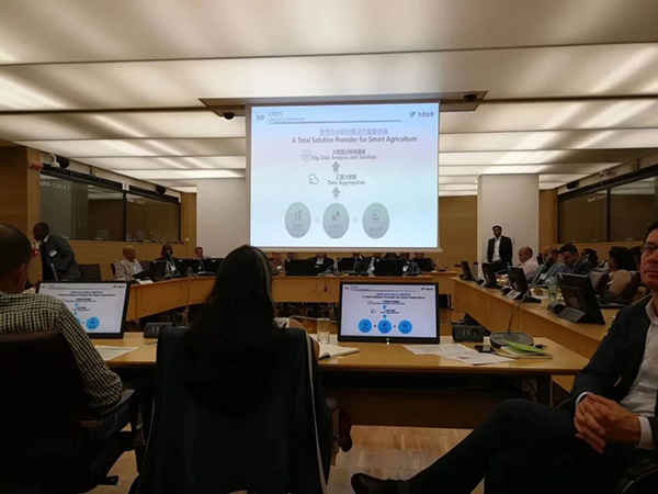 5�£��������r(n��ng)��FAO������B��˾��(sh��)�`�����c�ɹ�