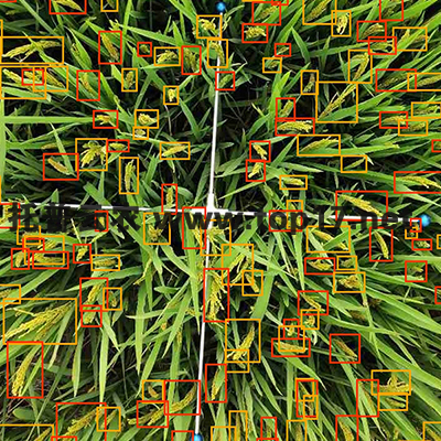 ˮ�����딵(sh��)�y(c��)��?j��)x