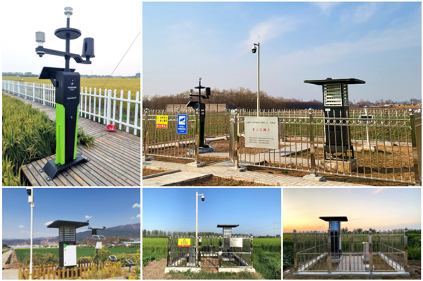 ���ķ��գ�ֻ���Ñ�ʮ�֝M��