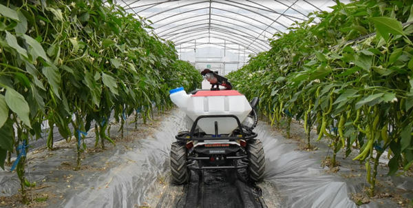 �������r(n��ng)��С�С��C����