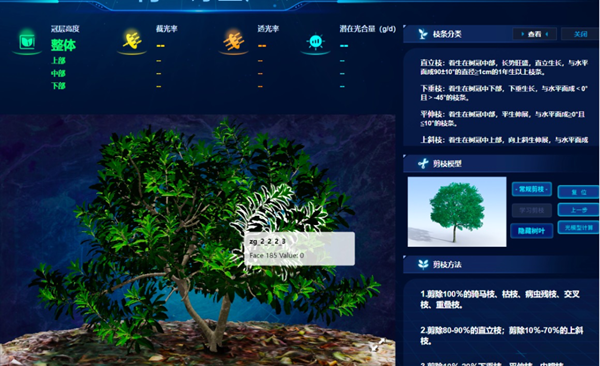 ���ơ��ϷN�w��÷�����r�������B��÷